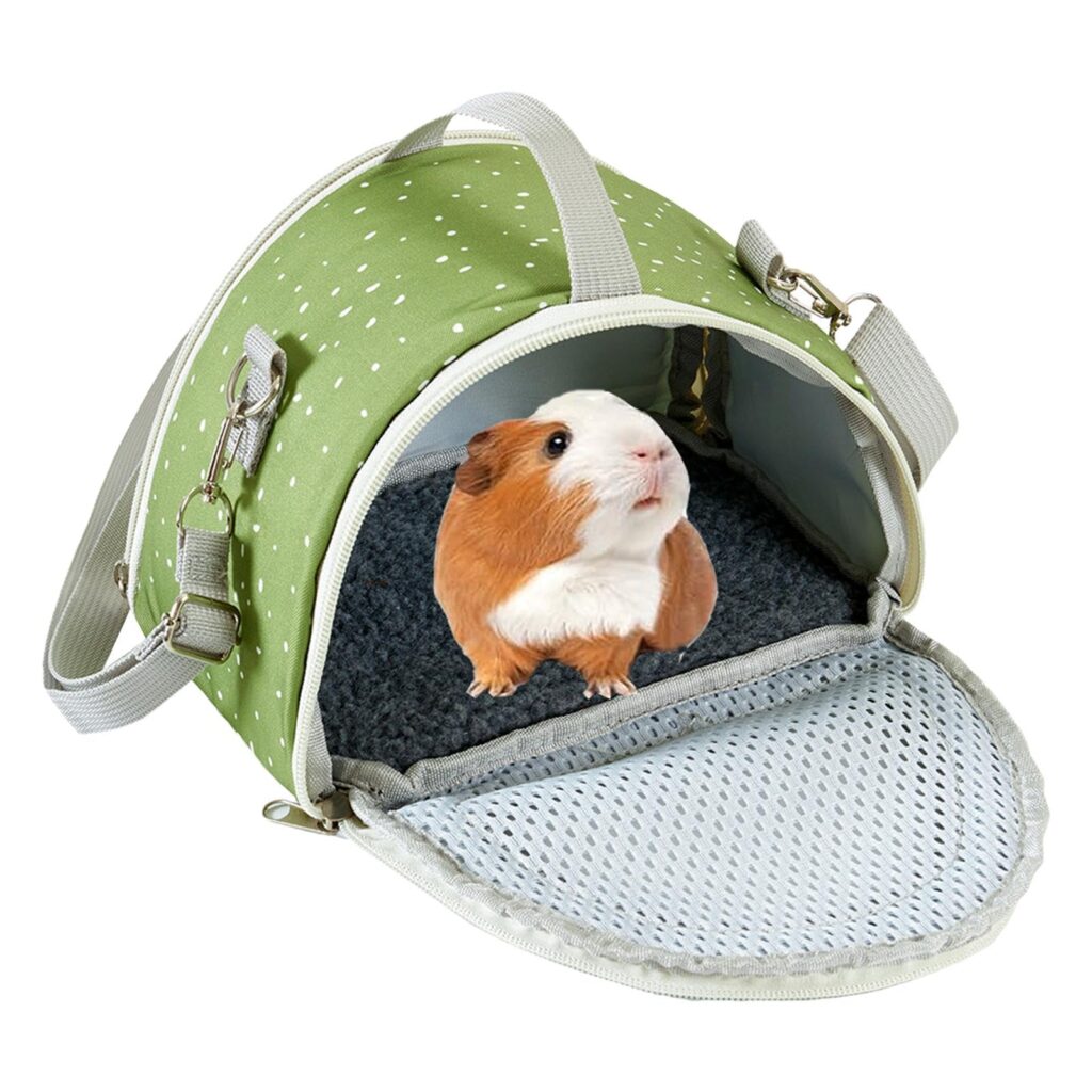 la bolsa de hamster, el mote que se le da a los motores del boeing 737